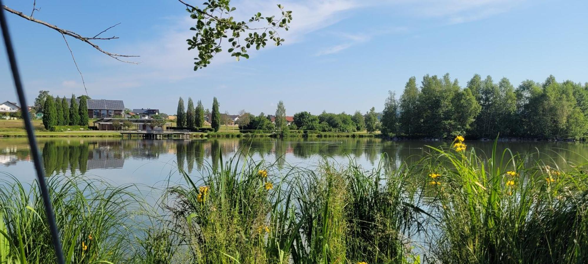 Ferienwohnung Bayerwaldblick Jandelsbrunn Eksteriør billede