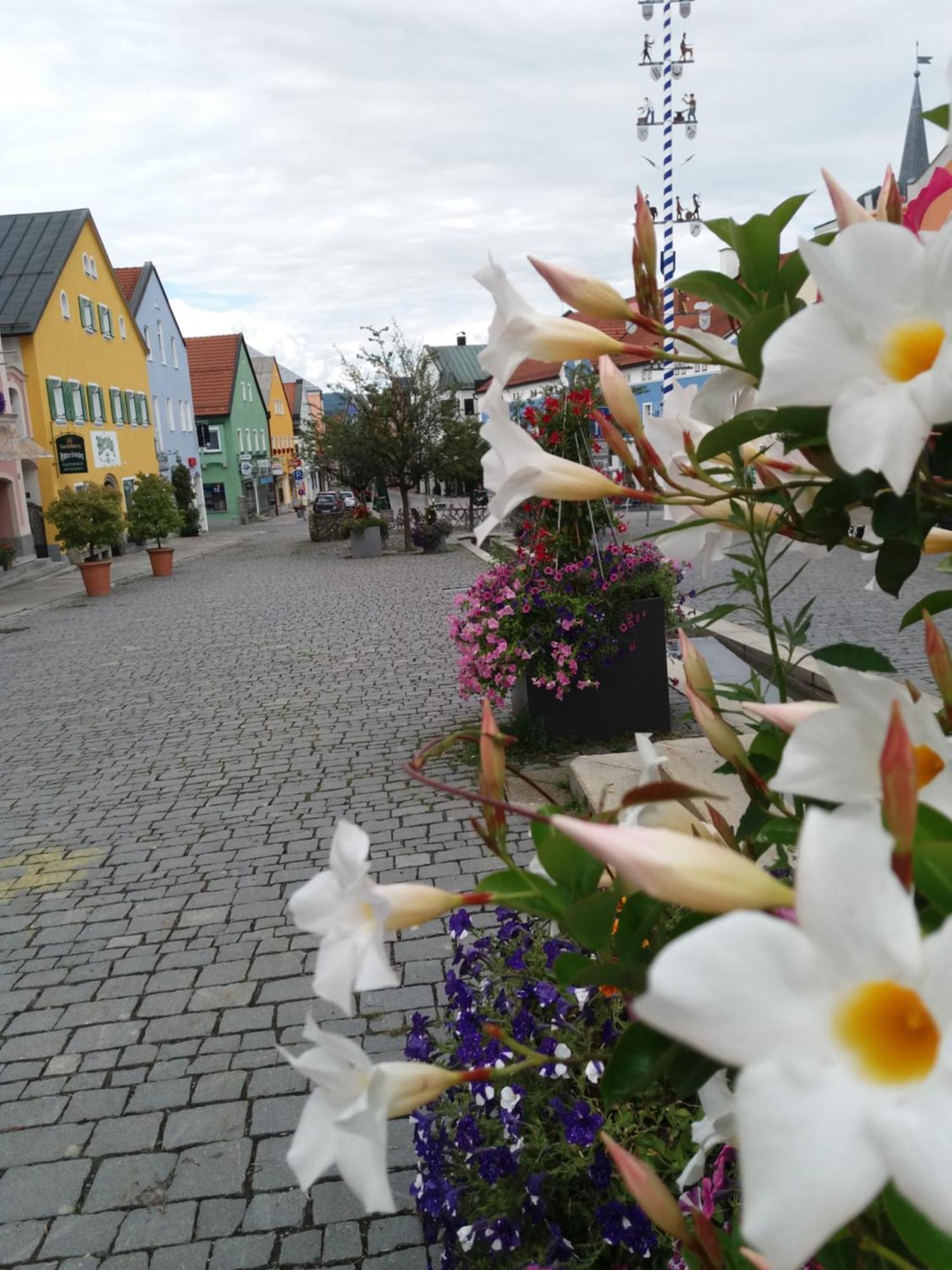 Ferienwohnung Bayerwaldblick Jandelsbrunn Eksteriør billede
