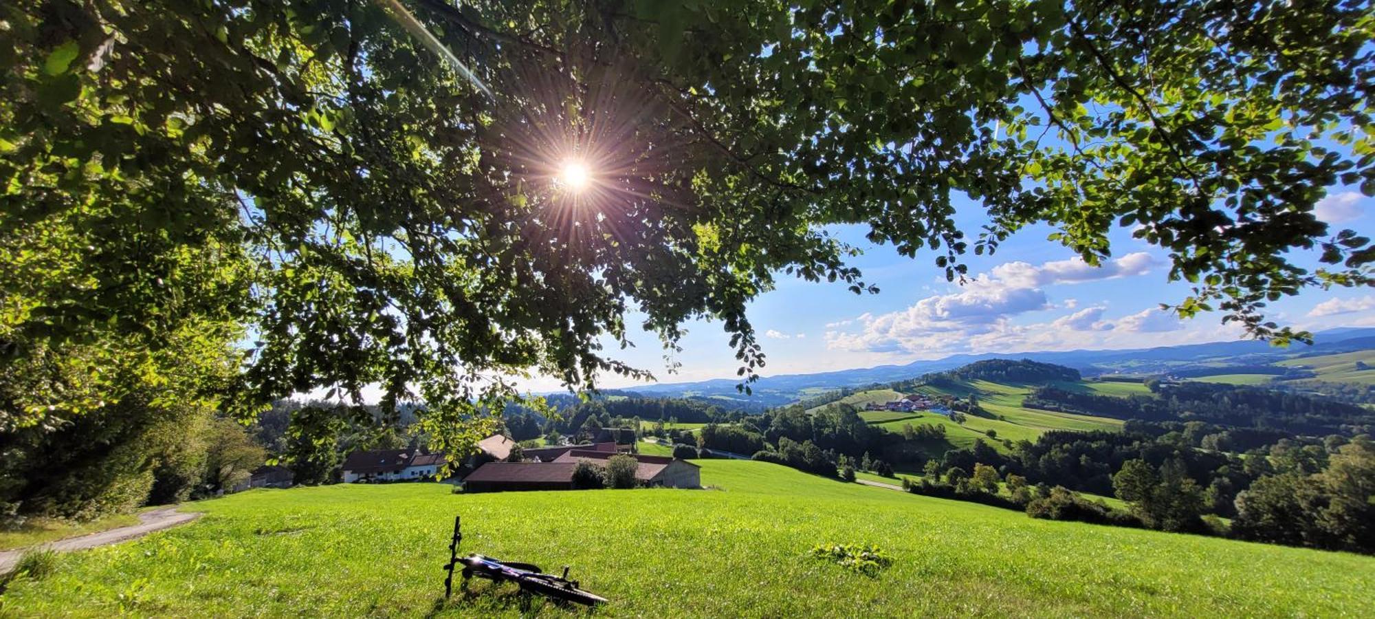 Ferienwohnung Bayerwaldblick Jandelsbrunn Eksteriør billede