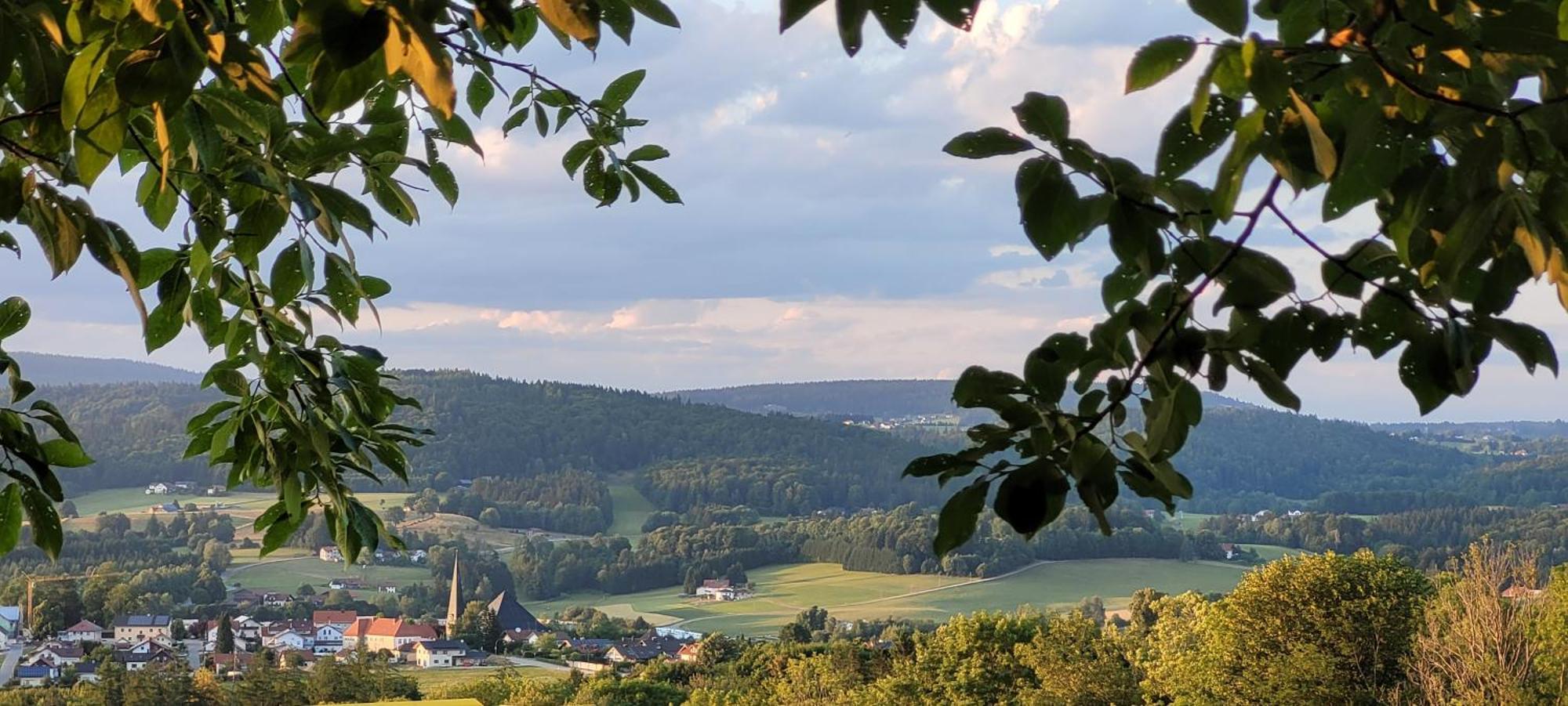 Ferienwohnung Bayerwaldblick Jandelsbrunn Eksteriør billede