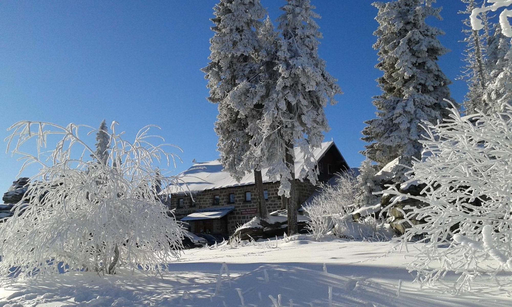 Ferienwohnung Bayerwaldblick Jandelsbrunn Eksteriør billede